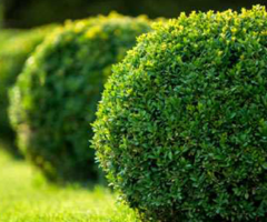 Draper Landscaping Salt Lake City