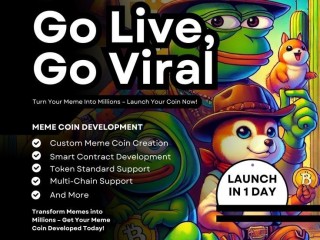Turn your Memes into Millions with Our Top Meme Coin Development Services