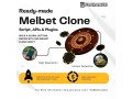 why-entrepreneurs-are-choosing-plurances-whitelabel-melbet-clone-software-small-0