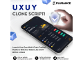 how-can-plurance-help-you-launch-a-multichain-trading-platform-with-dex-wallet-like-uxuy-small-0
