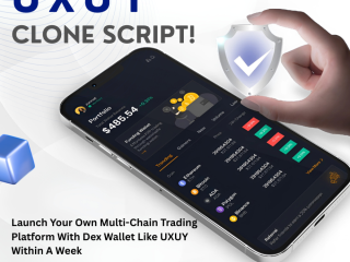How Can Plurance Help You Launch a Multichain Trading Platform With Dex Wallet Like UXUY?