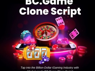 Who Can Use Plurances WhiteLabel BC.Game Clone Script to Scale Fast?