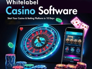 How Does Plurances WhiteLabel Casino Software Maximize ROI?