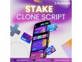 free-demo-of-stake-clone-script-explore-before-you-invest-small-0