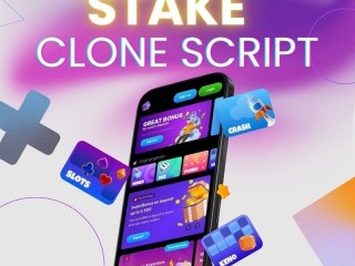 Free Demo of Stake Clone Script: Explore Before You Invest