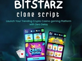 Build Your Own Crypto Casino Igaming with Bitstarz Clone Script