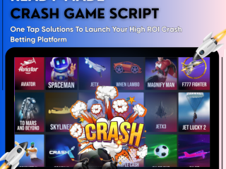 Start a Thrilling Crash Betting Gaming Platform with Plurances Ready-Made Script