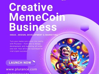 Develop Memes Coins Solana Will Return 100x Profits