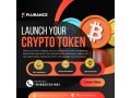 empower-your-project-with-plurances-blockchain-based-token-development-expertise-small-0