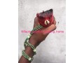 the-best-latest-powerful-herbalist-man-in-nigeria-small-1