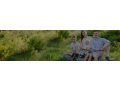 family-health-insurance-quote-small-0