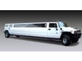 party-in-limousine-nyc-small-0
