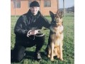 dog-daycare-near-me-woodstock-small-0